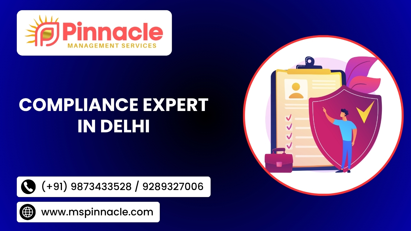 Compliance Expert in Delhi
